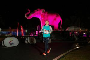 BIB: 
                            <button type="button" onclick="openModal(26542981)" class="btn btn-primary btn-sm float-right btn-popup" data-toggle="modal" data-target=".modal-high-quality">
                        <i class="fas fa-shopping-cart"></i> Add to Cart
                    </button>
                                            <button type="button" onclick="isThisMe(26542981, true)" class="btn btn-success btn-sm float-right btn-popup btn-isme hidden" data-toggle="tooltip" data-placement="bottom" title="นี่คือรูปของคุณใช่ไหม คลิกที่นี่เพื่อเอาเข้าอัลบั้ม">
                        <i class="fas fa-plus"></i> Add to album
                    </button>
                    <button type="button" onclick="isThisMe(26542981, false)" class="btn btn-warning btn-sm float-right btn-popup btn-isnotme hidden">
                        <i class="fas fa-ban"></i> Remove from album
                    </button>